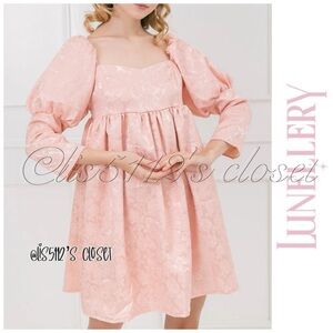 Lunellery The Ophelia Babydoll Dress in Pink Jacquard Sz Small // S